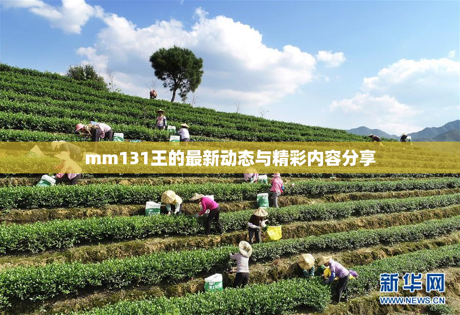 mm131王的最新动态与精彩内容分享