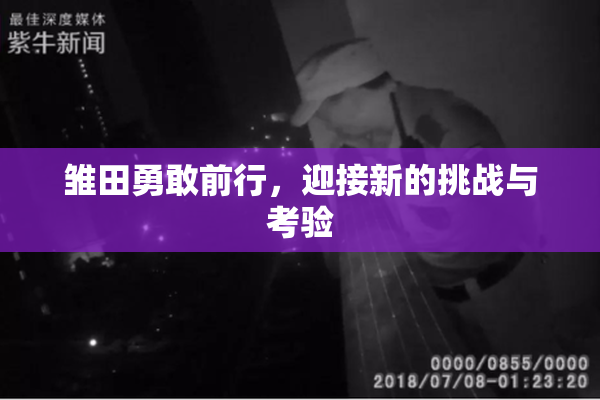 雏田勇敢前行，迎接新的挑战与考验