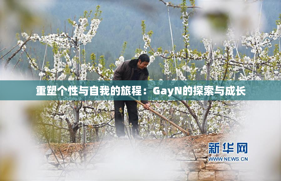 重塑个性与自我的旅程：GayN的探索与成长