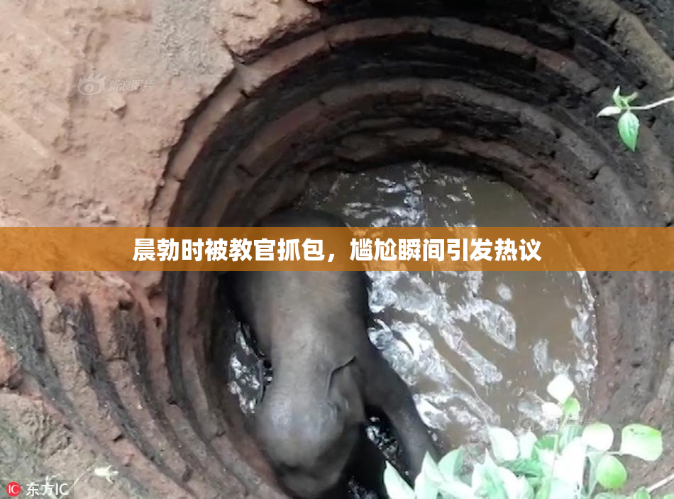晨勃时被教官抓包，尴尬瞬间引发热议