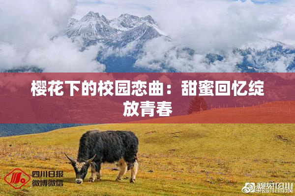 樱花下的校园恋曲：甜蜜回忆绽放青春