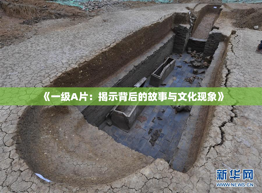 《一级A片：揭示背后的故事与文化现象》