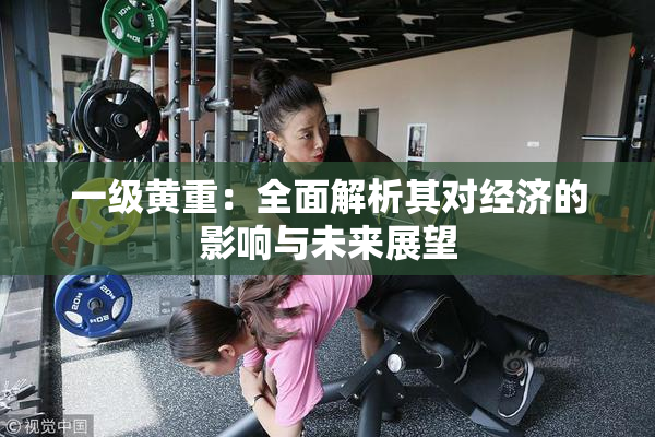 一级黄重：全面解析其对经济的影响与未来展望