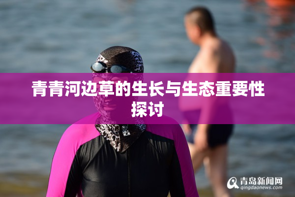 青青河边草的生长与生态重要性探讨