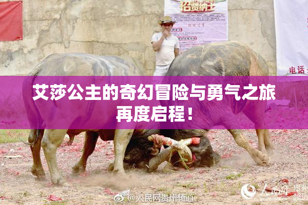 艾莎公主的奇幻冒险与勇气之旅再度启程！