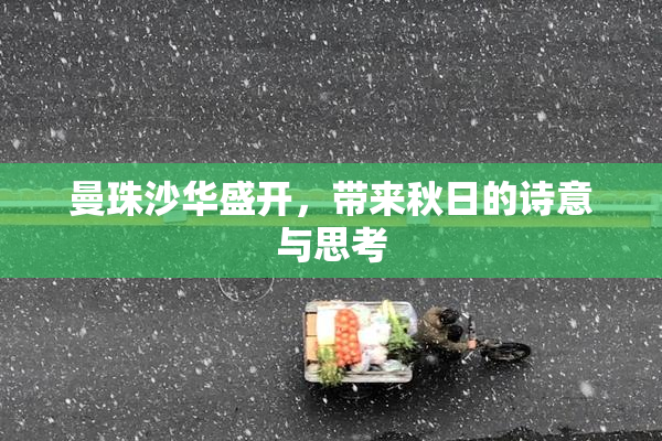 曼珠沙华盛开，带来秋日的诗意与思考