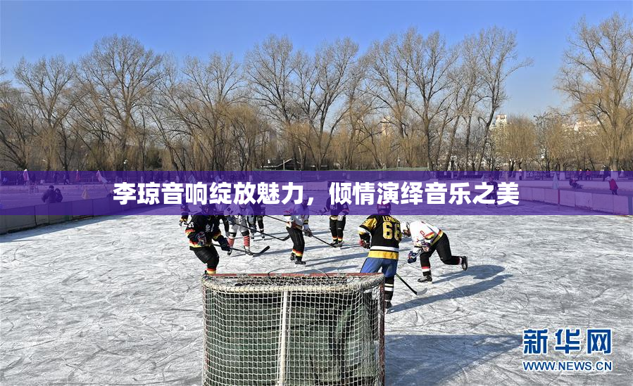 李琼音响绽放魅力，倾情演绎音乐之美