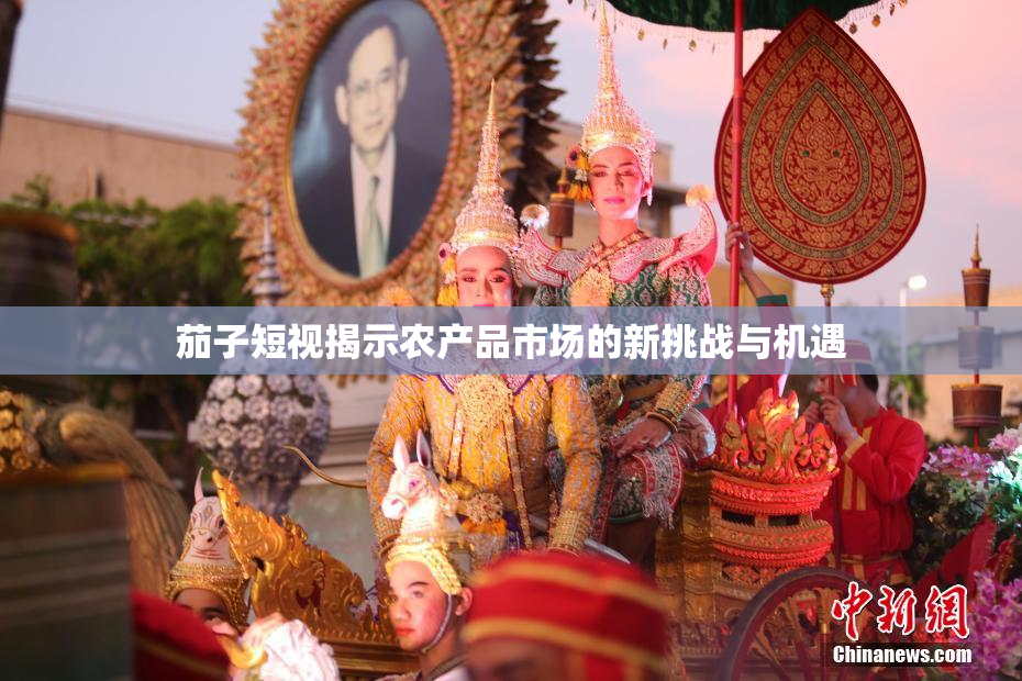 茄子短视揭示农产品市场的新挑战与机遇