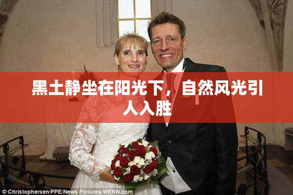黑土静坐在阳光下，自然风光引人入胜