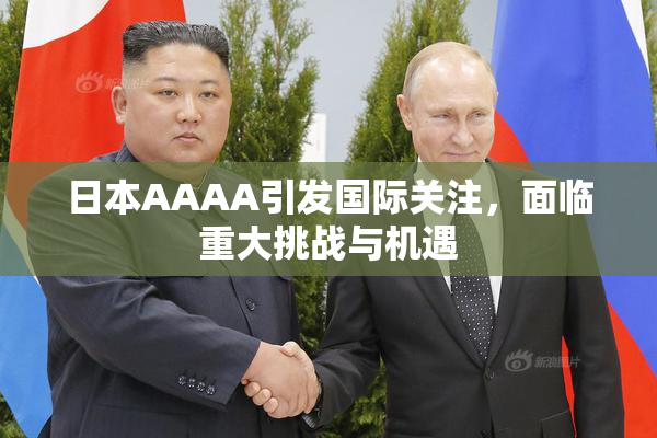 日本AAAA引发国际关注，面临重大挑战与机遇