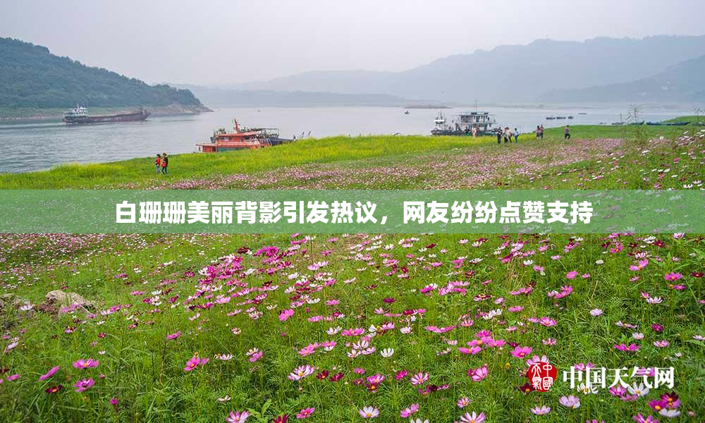 白珊珊美丽背影引发热议，网友纷纷点赞支持