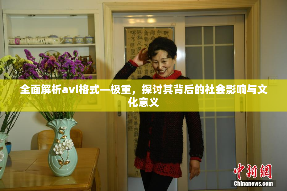 全面解析avi格式―极重，探讨其背后的社会影响与文化意义