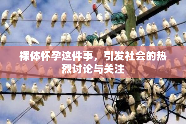 裸体怀孕这件事，引发社会的热烈讨论与关注