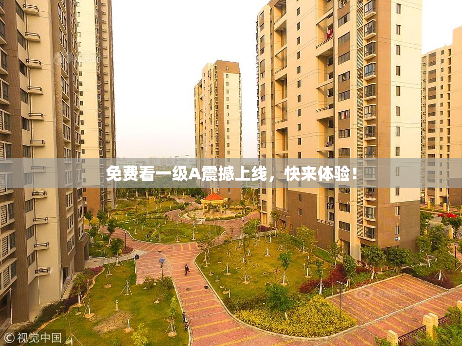 免费看一级A震撼上线，快来体验！