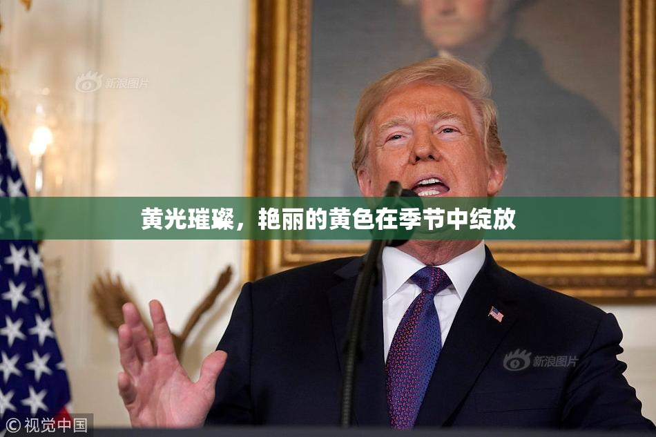 黄光璀璨，艳丽的黄色在季节中绽放