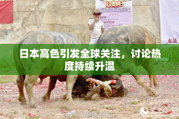 日本高色引发全球关注，讨论热度持续升温