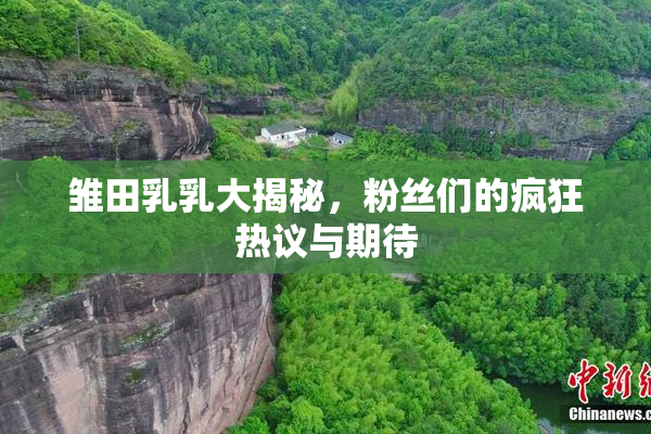 雏田乳乳大揭秘，粉丝们的疯狂热议与期待