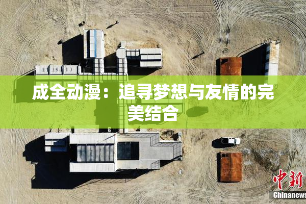 成全动漫：追寻梦想与友情的完美结合
