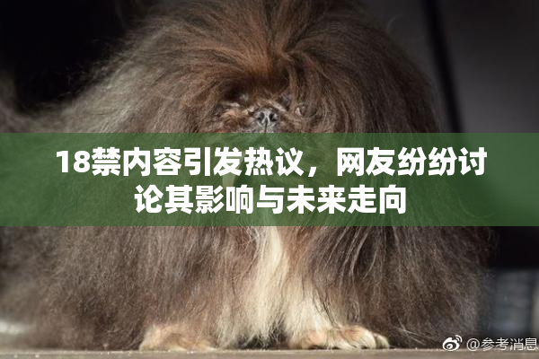 18禁内容引发热议，网友纷纷讨论其影响与未来走向