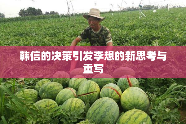 韩信的决策引发李想的新思考与重写