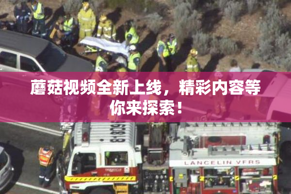 蘑菇视频全新上线，精彩内容等你来探索！