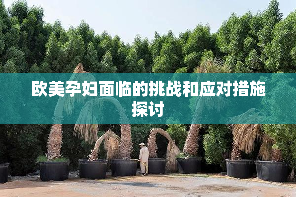 欧美孕妇面临的挑战和应对措施探讨