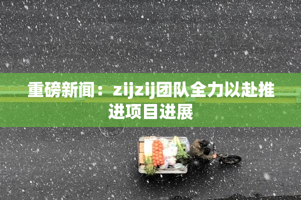 重磅新闻：zijzij团队全力以赴推进项目进展