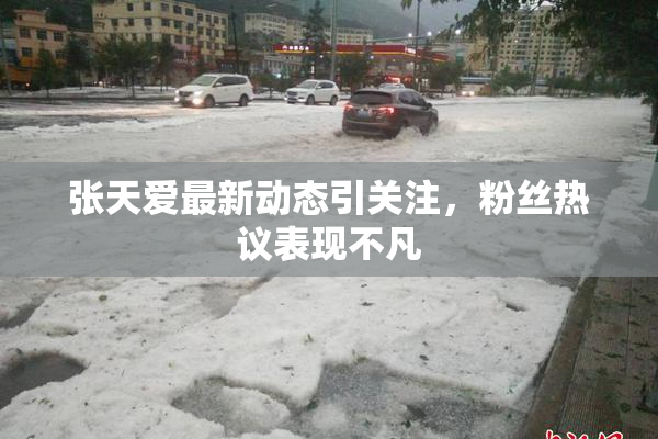 张天爱最新动态引关注，粉丝热议表现不凡