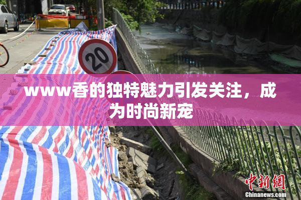 www香的独特魅力引发关注，成为时尚新宠
