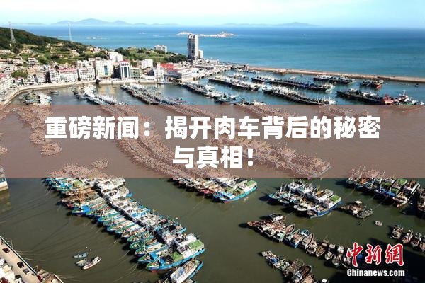重磅新闻：揭开肉车背后的秘密与真相！