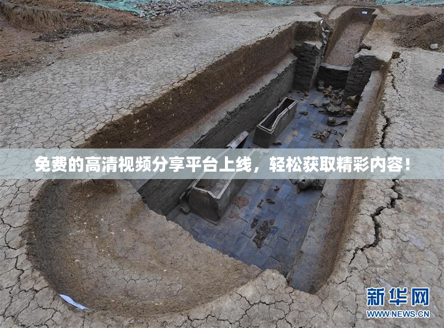 免费的高清视频分享平台上线，轻松获取精彩内容！