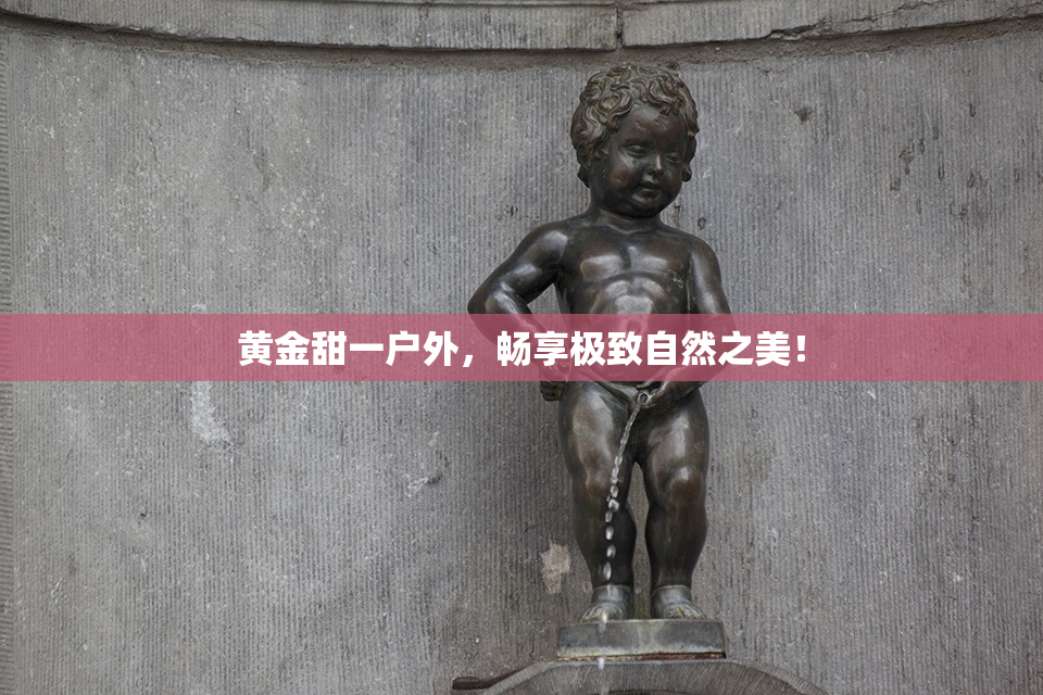 黄金甜一户外，畅享极致自然之美！