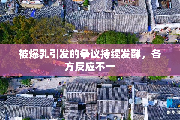 被爆乳引发的争议持续发酵，各方反应不一