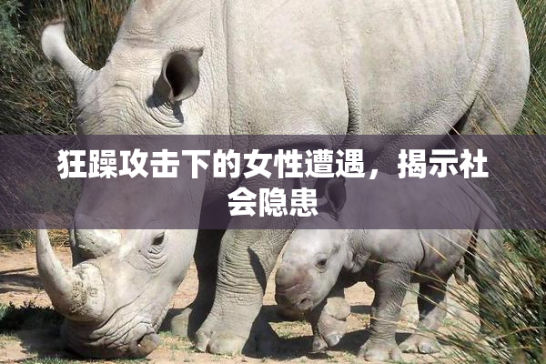 狂躁攻击下的女性遭遇，揭示社会隐患
