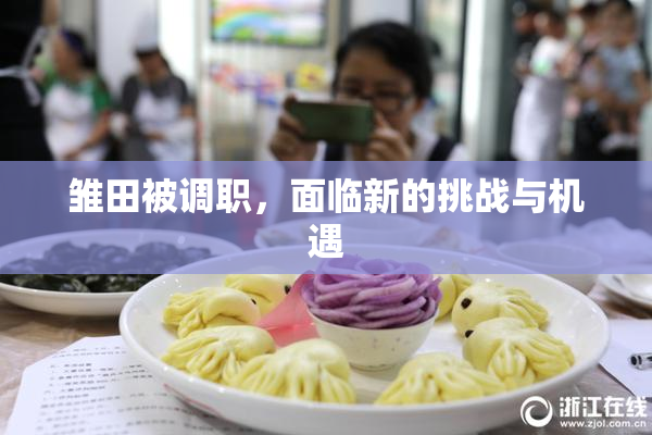 雏田被调职，面临新的挑战与机遇
