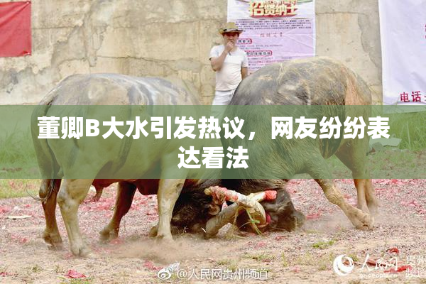 董卿B大水引发热议，网友纷纷表达看法