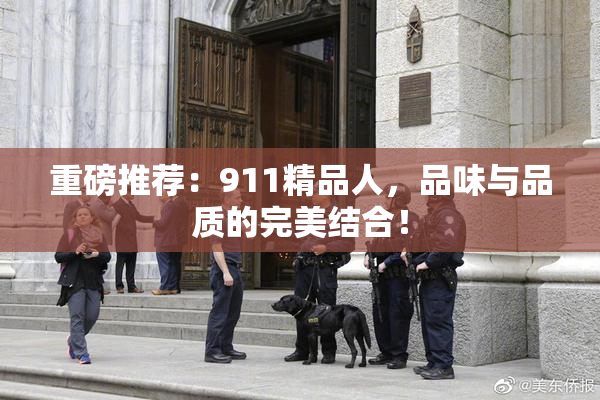 重磅推荐：911精品人，品味与品质的完美结合！