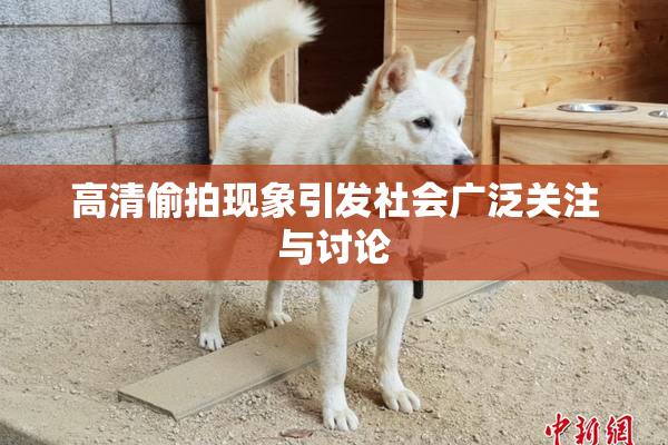 高清偷拍现象引发社会广泛关注与讨论