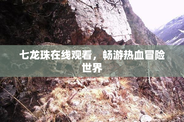 七龙珠在线观看，畅游热血冒险世界