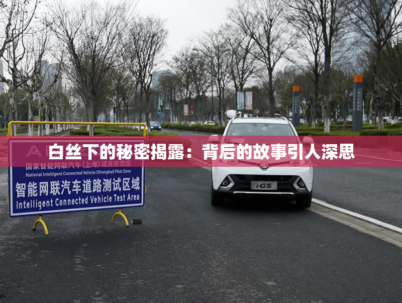 白丝下的秘密揭露：背后的故事引人深思