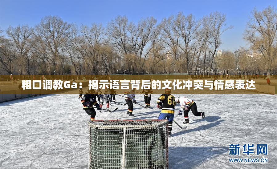 粗口调教Ga：揭示语言背后的文化冲突与情感表达