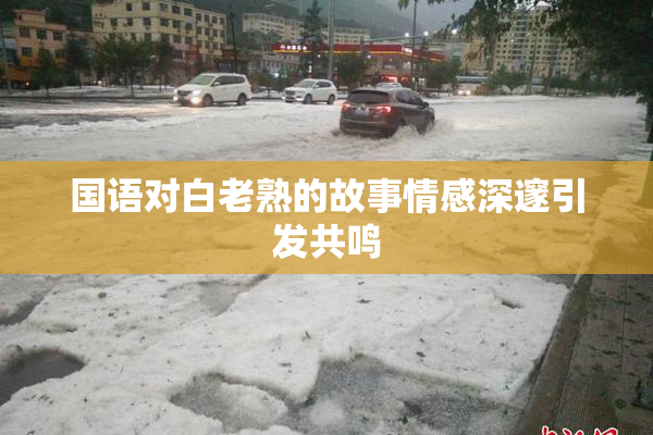 国语对白老熟的故事情感深邃引发共鸣