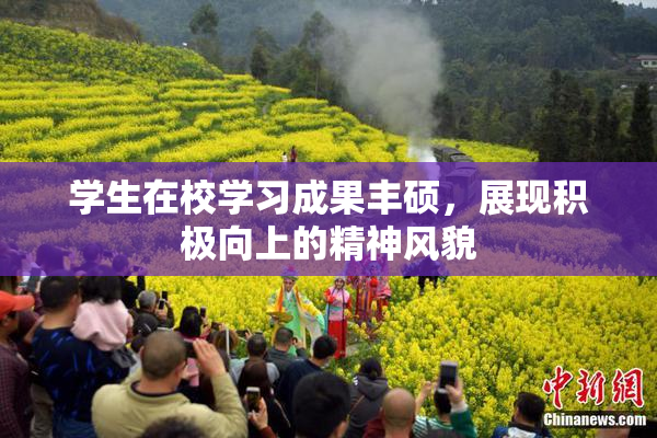 学生在校学习成果丰硕，展现积极向上的精神风貌