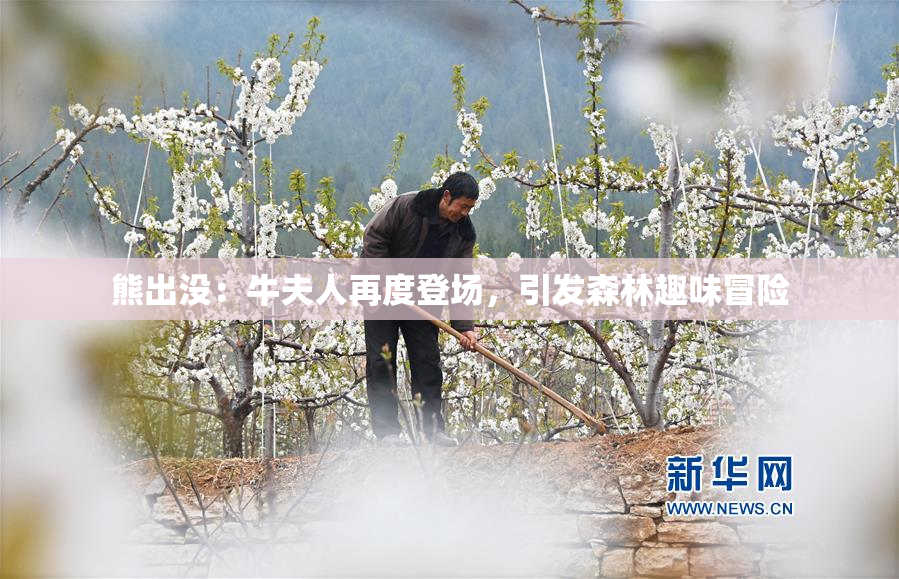 熊出没：牛夫人再度登场，引发森林趣味冒险