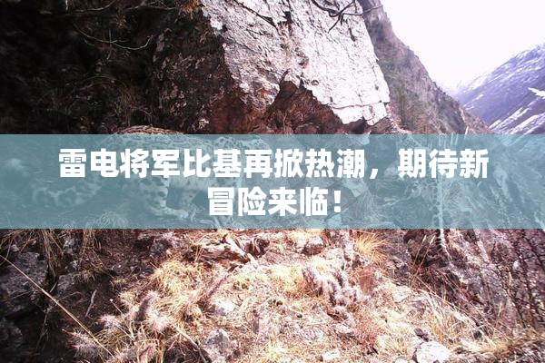 雷电将军比基再掀热潮，期待新冒险来临！