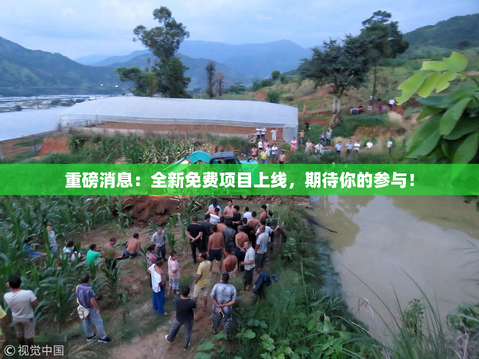 重磅消息：全新免费项目上线，期待你的参与！