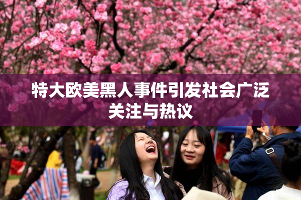 特大欧美黑人事件引发社会广泛关注与热议