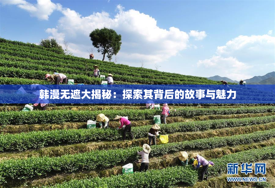 韩漫无遮大揭秘：探索其背后的故事与魅力