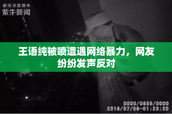 王语纯被喷遭遇网络暴力，网友纷纷发声反对
