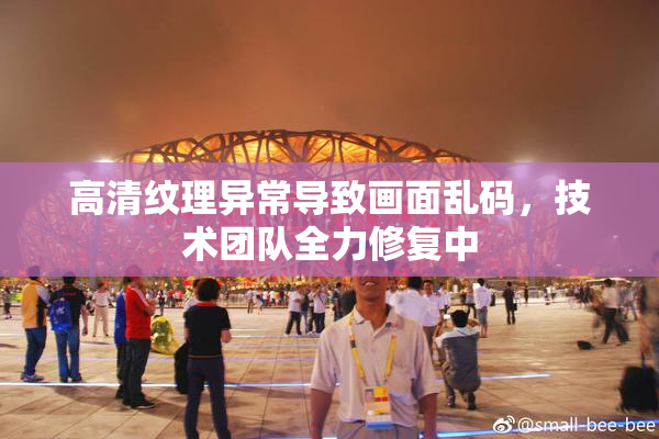 高清纹理异常导致画面乱码，技术团队全力修复中